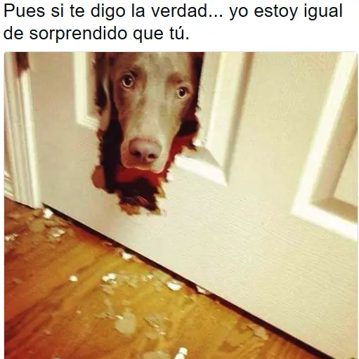 Humor de Viernes