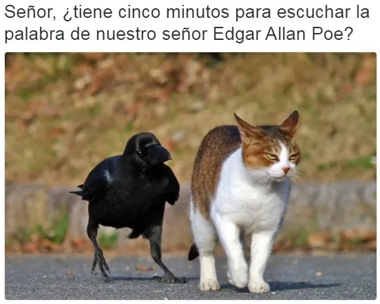 Humor de Viernes