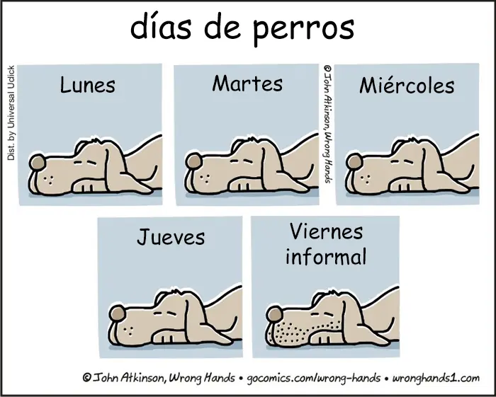 imagenes divertidas