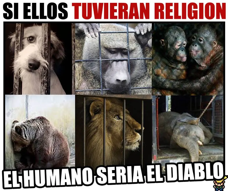 humor