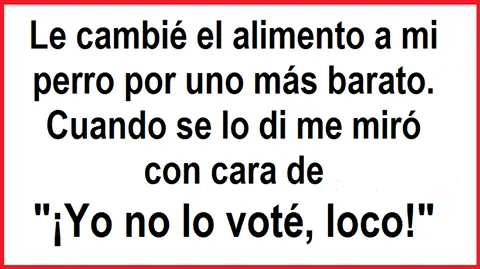 imagenes divertidas
