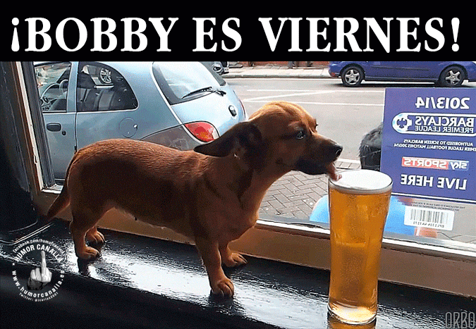imagenes divertidas