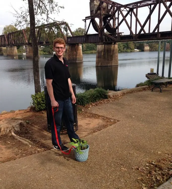 cuidara