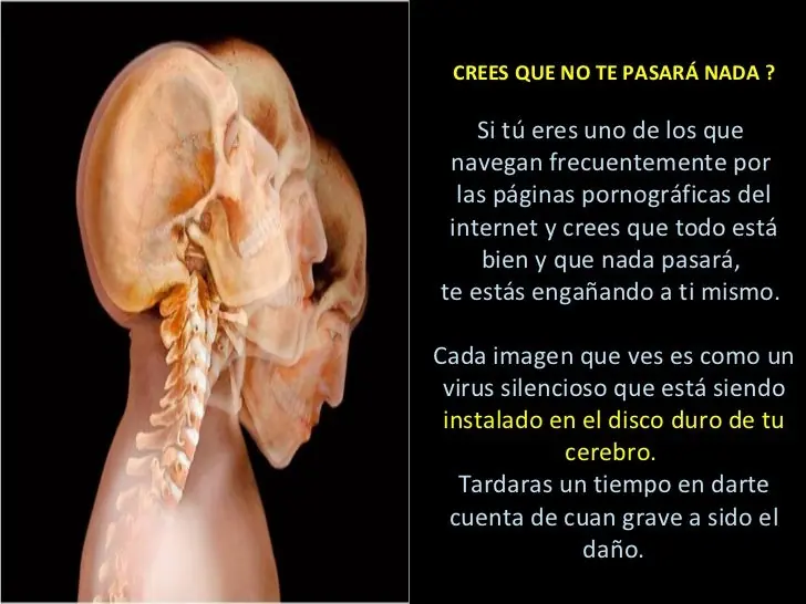 efectos