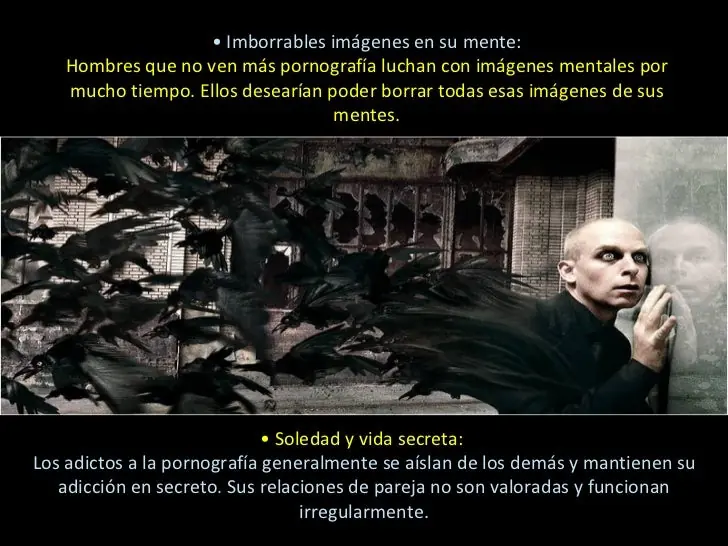 efectos