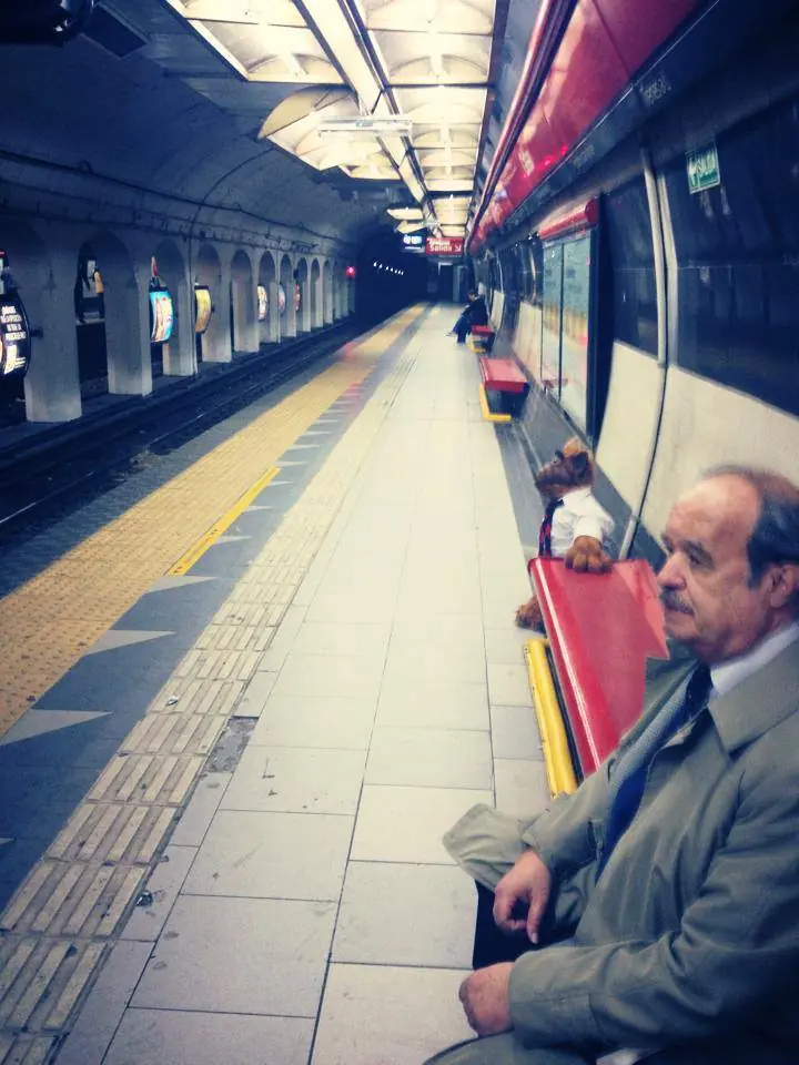 Las cosas mas raras que te puedes encontrar en el metro Las cosas mas raras que te puedes encontrar en el metro