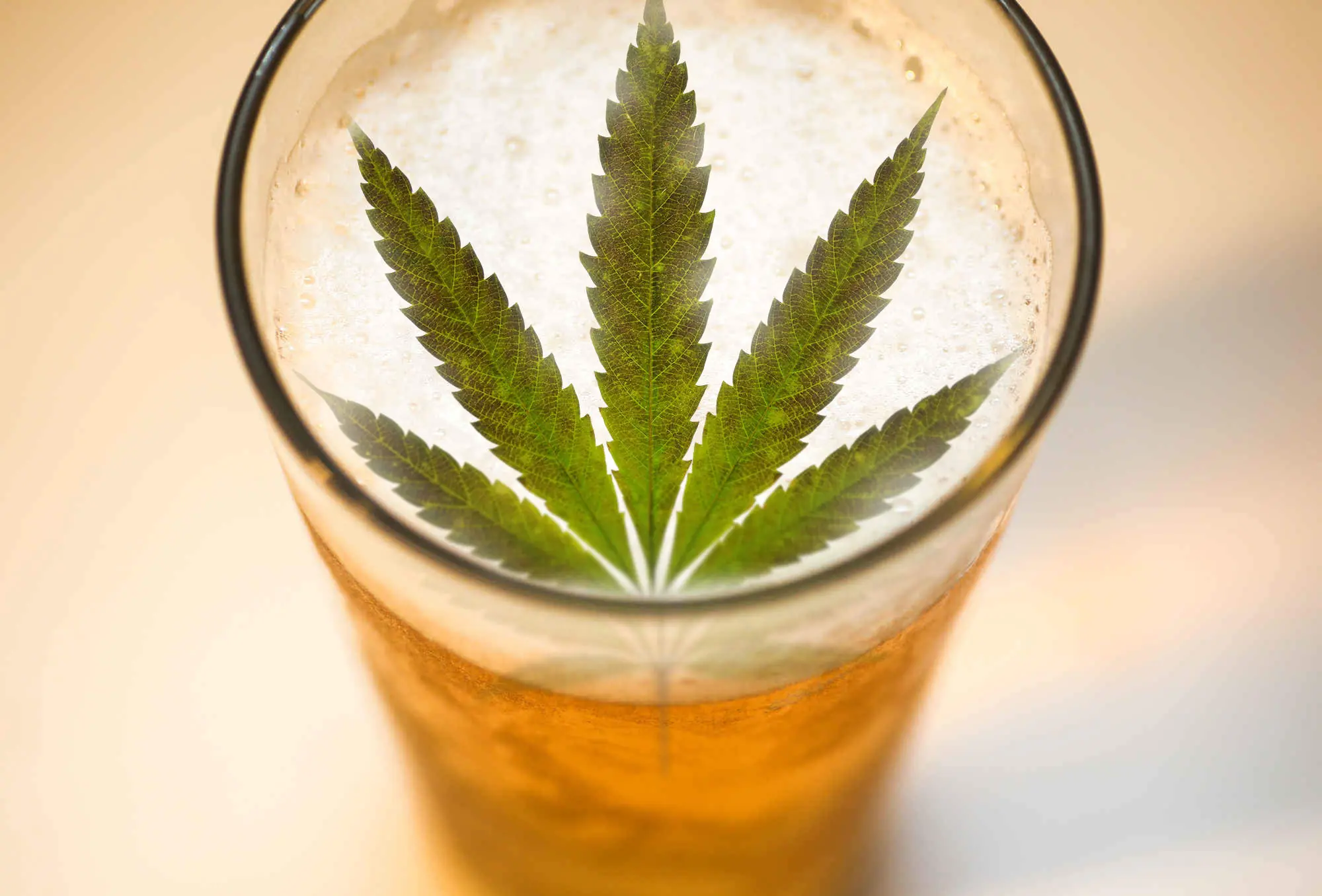 cerveza cerveza