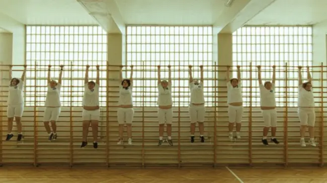 spicoanaliss