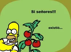 tomaco
