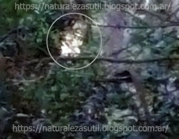 fotografias espirituales