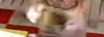profiterol