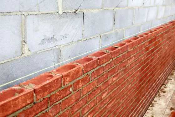 23 cosas más que prácticamente no sabes