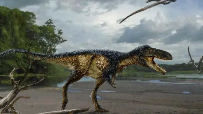 Hallazgo que ayudará a resolver uno de los misterios deT-Rex