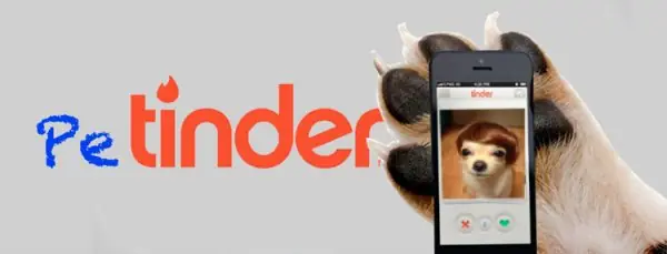 Crean Tinder para mascotas