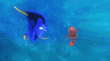 dory