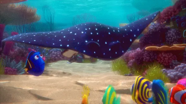 dory