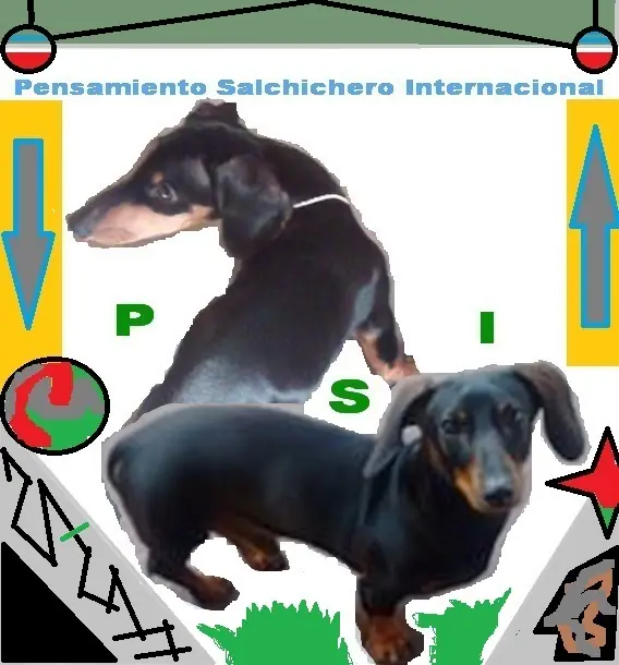 Salchi Pensamientos Libro 2 Sección 4