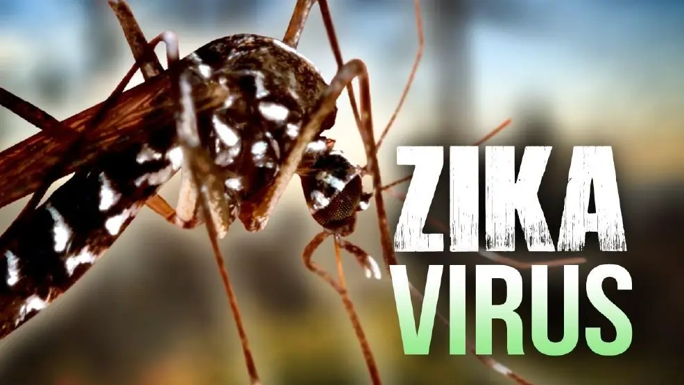 7 Remedios falsos para el Zika que se viralizaron en la web