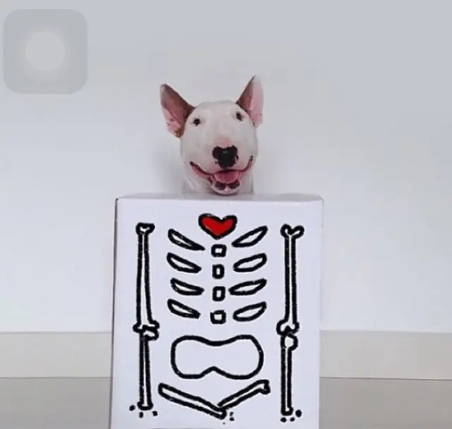 creativas