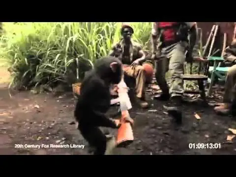 Nunca le des una Navaja a un Mono, y menos una AK-47