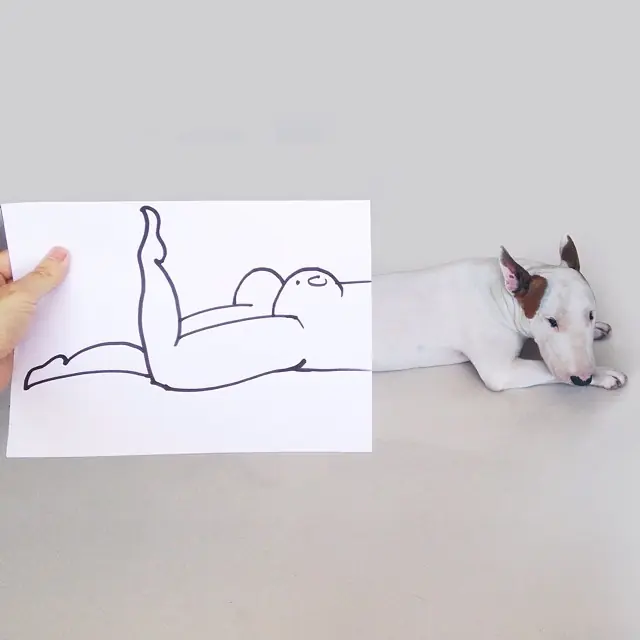creativas