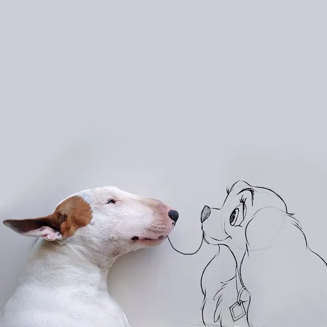bull terrier