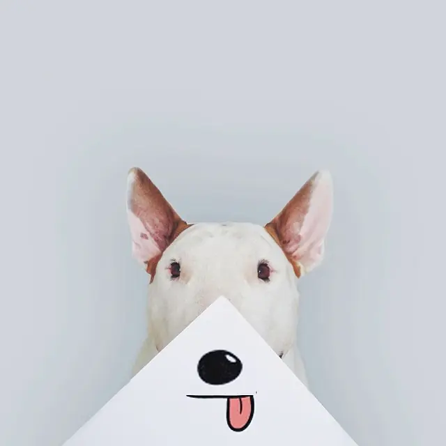 divertidas