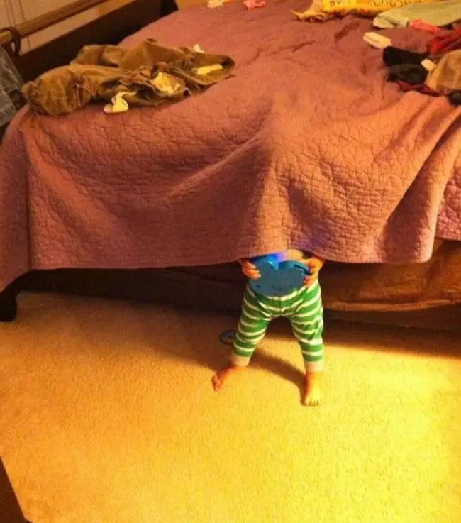 23 Niños que claramente no están ganando a las escondidas