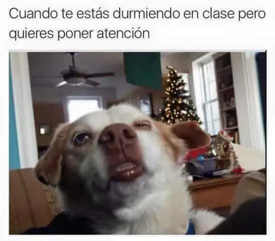 humor mexicano