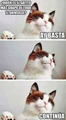 humor megapost