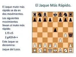 datos que te pueden interesar