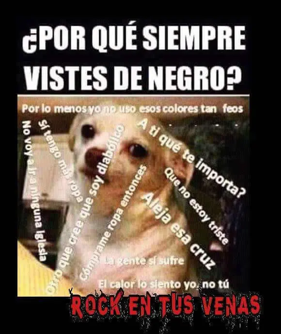 imagenes divertidas