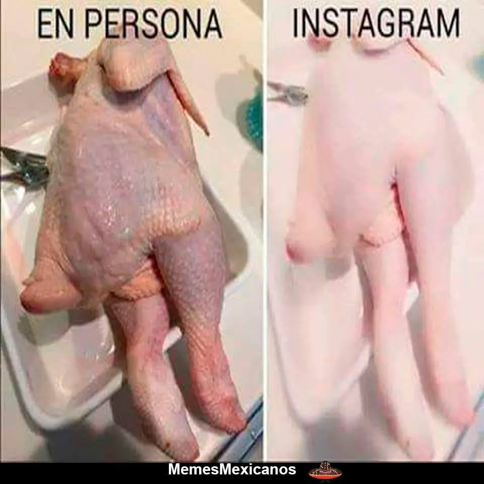 humor taringa