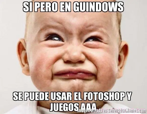 win queY