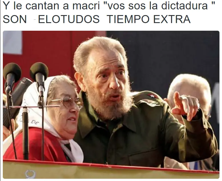 Bonafini Bonafini
