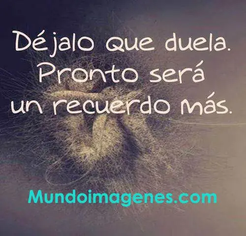amor amor