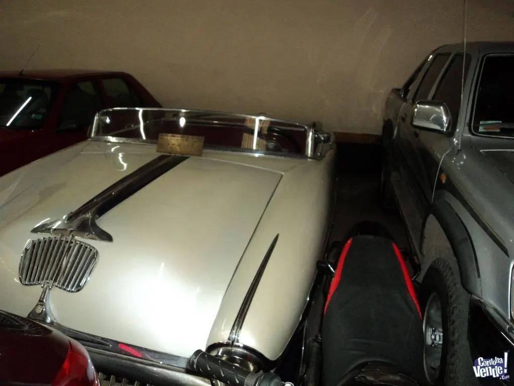 coche argentino