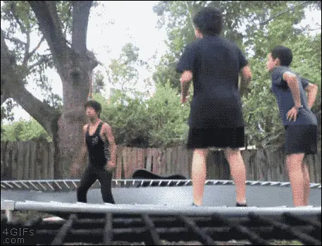 los gifs