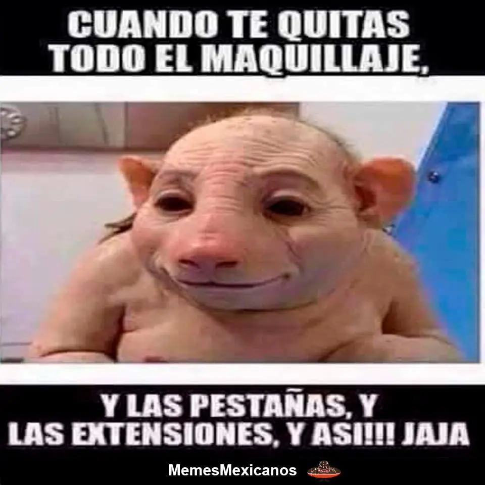 humor