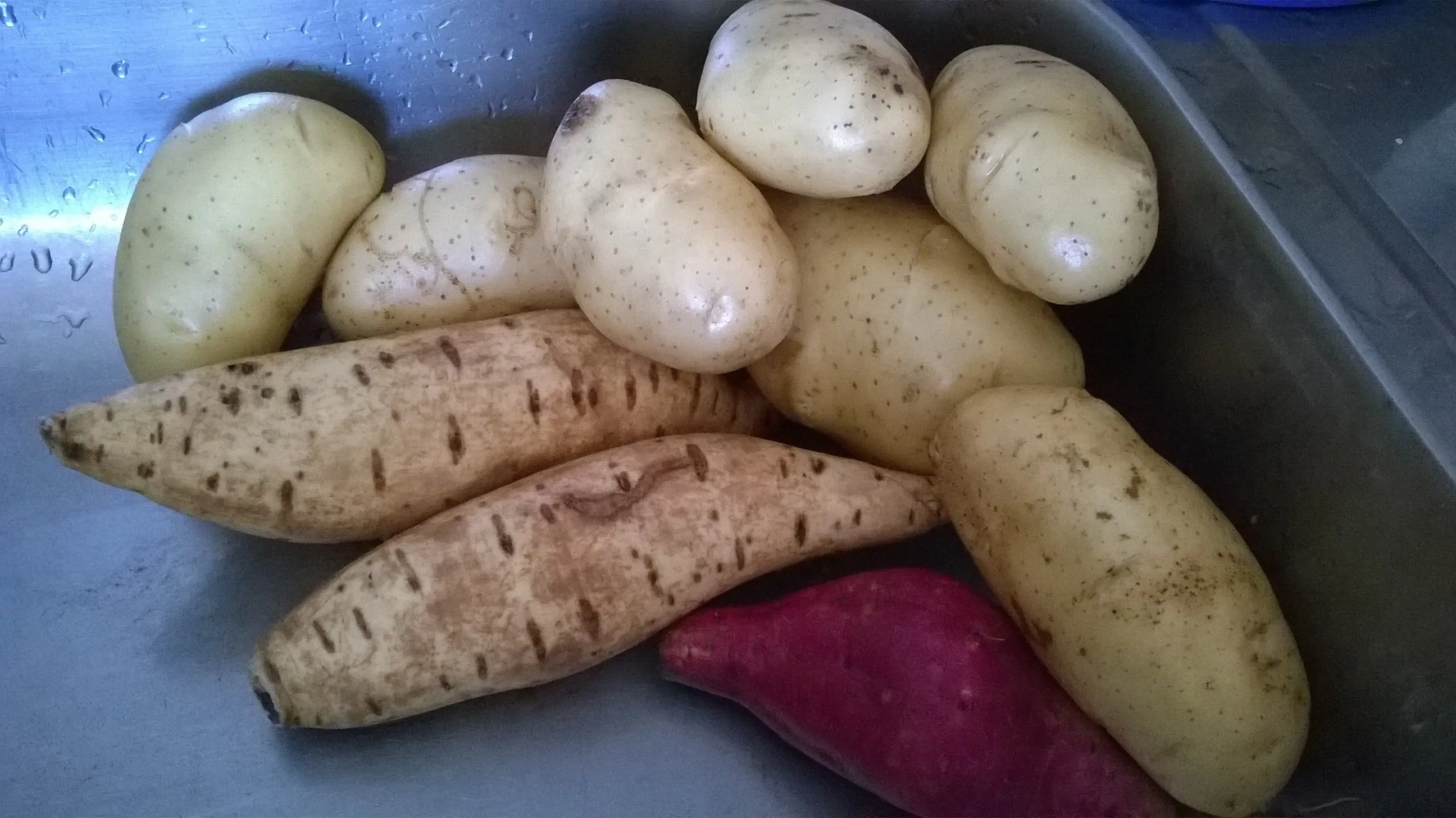 horno