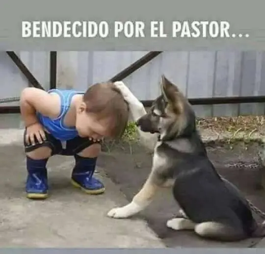 semana