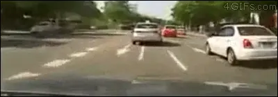 los gifs