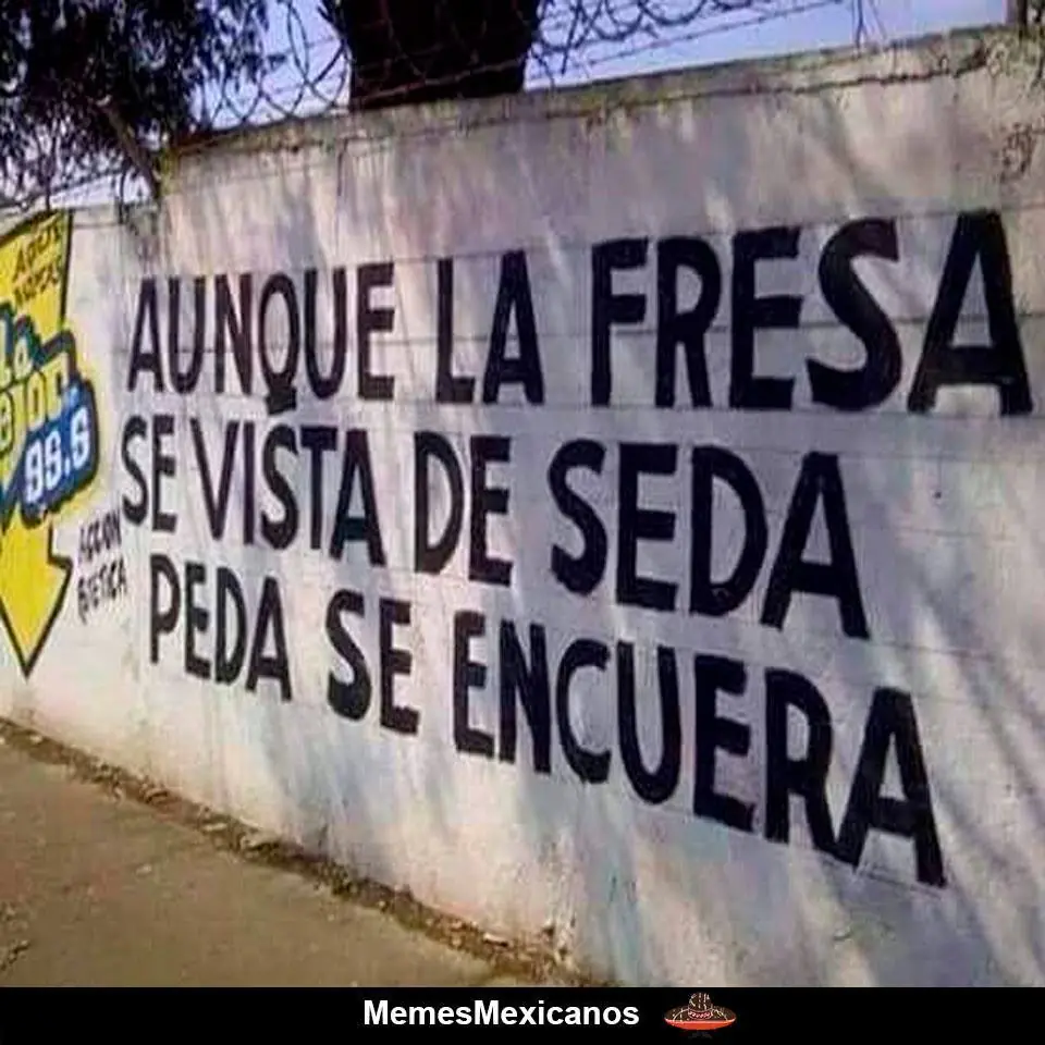 humor mexicano