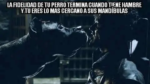 humor megapost