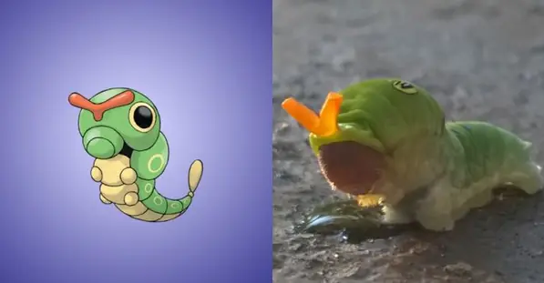 Animales que parecen pokemones de verdad o.O