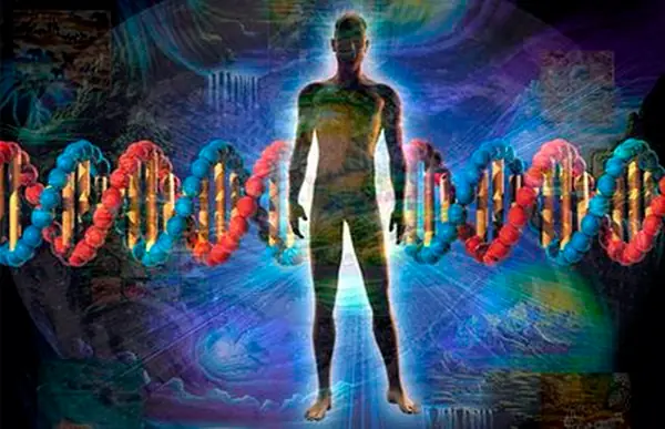 Hábitos que bajan tu vibración/frecuencia