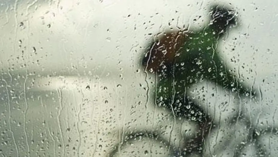 Se salvó de morir fulminado gracias a su pene