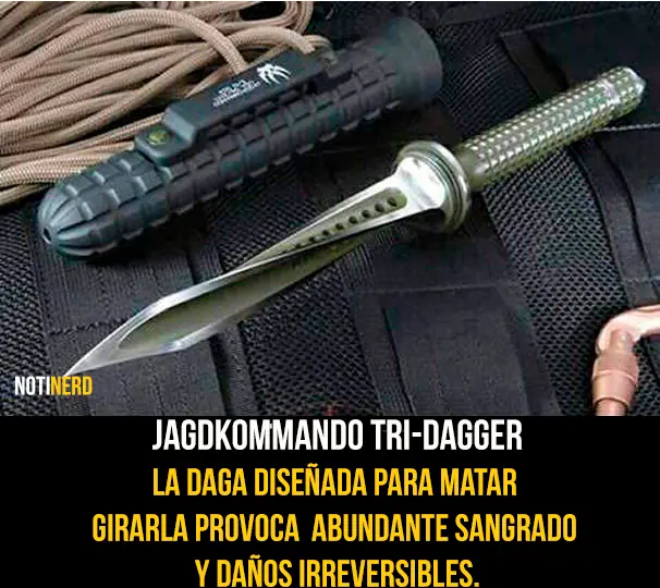 15 Datos