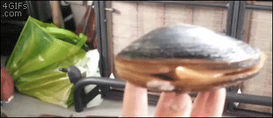Gifs