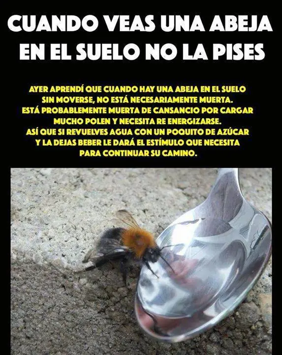 humor